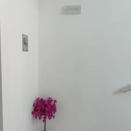 Apartment Dom-el Real 3 - Amerikana *
